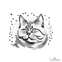 scratch from a cat British shorthair  tattoo design idea