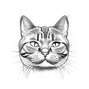 scratch from a cat British shorthair  tattoo design idea