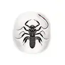 A scorpion with intricate Japanese-inspired patterns and symbols in a realism style tattoo design idea