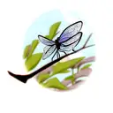 Dragonfly tattoo design idea