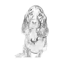 a cocker spaniel tattoo design idea