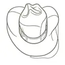 cowboy hat tattoo design idea