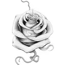 snake around a rose  tattoo design idea