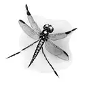 Dragonfly tattoo design idea