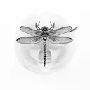Dragonfly tattoo design idea