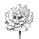 Carnation, Primrose, Daffodil, Daisy, Rose, Waterlily, Morning Glory Marigold, Chrysanthemum, Narcissus tattoo design idea