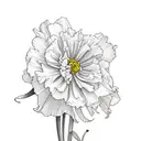 Carnation, Primrose, Daffodil, Daisy, Rose, Waterlily, Morning Glory Marigold, Chrysanthemum, Narcissus tattoo design idea