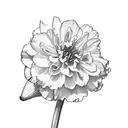Carnation, Primrose, Daffodil, Daisy, Rose, Waterlily, Morning Glory Marigold, Chrysanthemum, Narcissus tattoo design idea