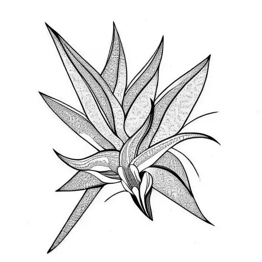 Bird of Paradise tattoo design idea