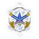 U.S. Air Force Veteran  tattoo design idea