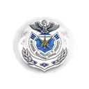 U.S. Air Force Veteran  tattoo design idea