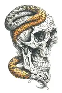 snake coming in and out of a skull tattoo design idea