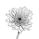 Gerbera, E, L tattoo design idea