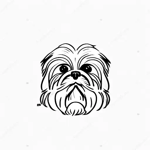 shih tzu tattoo design idea