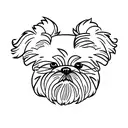 shih tzu tattoo design idea