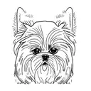 shih tzu tattoo design idea