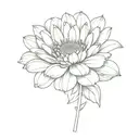 pink gerbera sun tattoo design idea