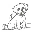 bichon terrier with tongue out and Pom Pom on head tattoo design idea