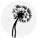 dandelion with seeds drifting away transforming to symbols tattoo design idea