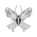 moth wings with skeleton head, rib cage and legs  tattoo design idea
