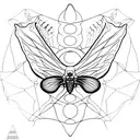 moth wings with skeleton head, rib cage and legs  tattoo design idea