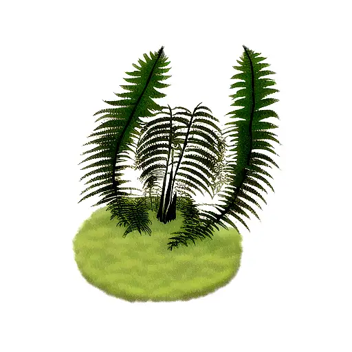 Fern Tree tattoo design idea