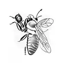 Honey Bee tattoo design idea