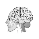 A detailed brain with tangled thoughts and a clock symbolizing overthinking tattoo design idea