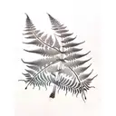Fern Tree tattoo design idea