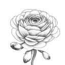 ranculus flower with azalea and tulips  tattoo design idea