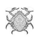 crab bear turtle tattoo design idea
