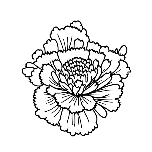 combine carnation, larkspur, chrysanthemum into a wrap tattoo for the ankle tattoo design idea