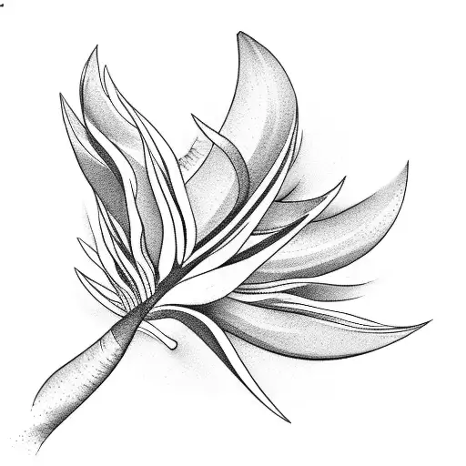 Bird of Paradise tattoo design idea