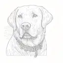 a labrador retriever wearing tattoo design idea