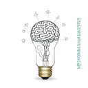 lightbulb with anatomical brain inside and chemical formulas for serotonin and dopamine molecules connected to an anatom tattoo design idea