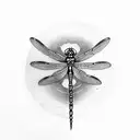 Dragonfly tattoo design idea