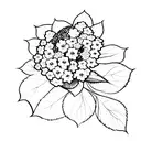 hydrangea flower minimalist tattoo design idea
