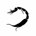 shrimp tattoo design idea