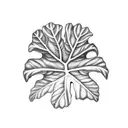 fiddle fig leaf  tattoo design idea