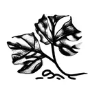 fiddle fig leaf  tattoo design idea