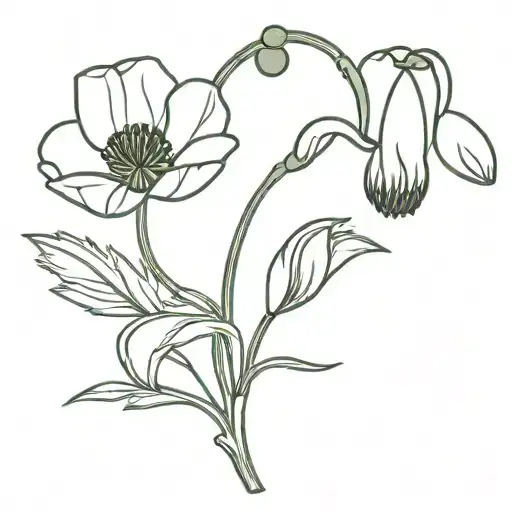 poppy and snowdrop flower intertwined tattoo design idea