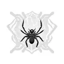 spider tattoo design idea