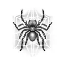 spider tattoo design idea