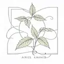 ignorance is bliss on forearm with Aries symbol cannabis leaves  tattoo design idea