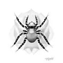 spider in web tattoo design idea