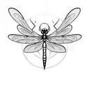dragonfly where the shape of the wings has the following text "in a world of hate be a light" and no background  tattoo design idea