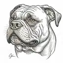American bulldog head tattoo design idea