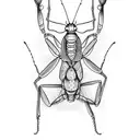 Praying mantis tattoo design idea