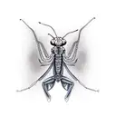 Praying mantis tattoo design idea