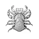 zodiac crab with scorpion  tattoo design idea